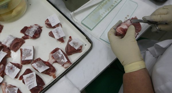 На первом этапе модернизации ветеринарных лабораторий потребуется 37,3 млн сомов &mdash; Tazabek