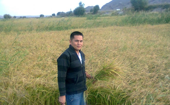 Главное фото