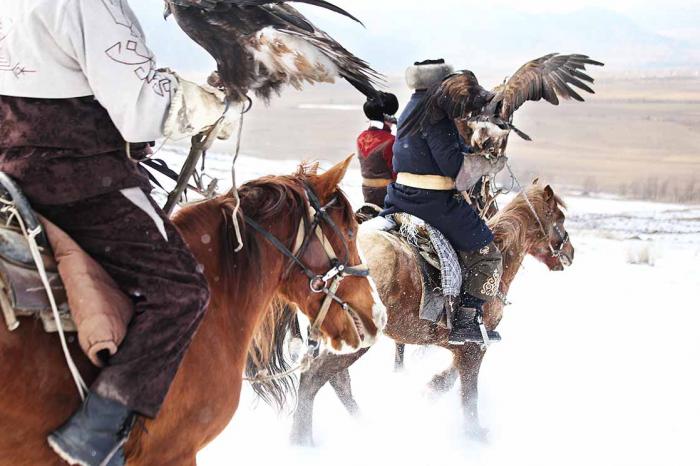 Главное фото