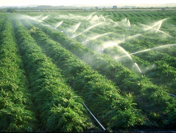 Депутат А.Эргешов считает завышенной сумму в $1 млн на консультационные услуги из кредита ИБР в $13,3 млн на канал Сарымсак &mdash; Tazabek