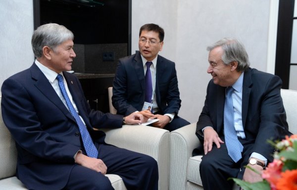 Главное фото