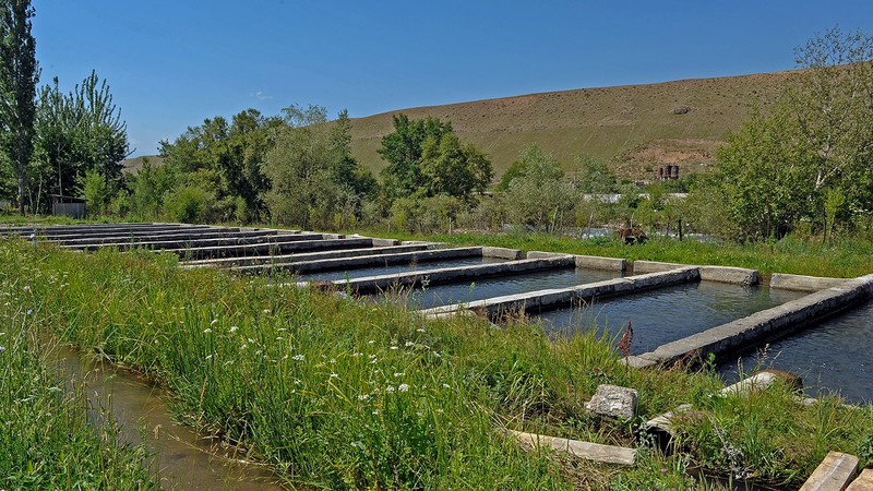 В 2018 году в эксплуатацию введут 7 ирригационных объектов, - Департамент водного хозяйства и мелиорации &mdash; Tazabek
