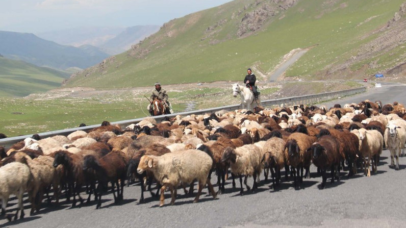 Сколько комбанками было выделено кредитов регионам в 2017 году? (рейтинг) &mdash; Tazabek