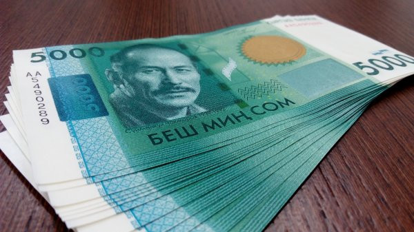 За 7 месяцев 2018 года бюджет получил 703,3 млн сомов по результатам работы правоохранительных органов, - Минфин &mdash; Tazabek