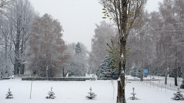 Главное фото
