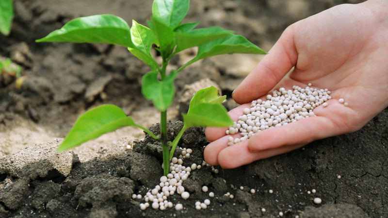 Минсельхоз: В 2018 году в Кыргызстан завезли 141 тыс. тонн минеральных удобрений из 3 стран &mdash; Tazabek