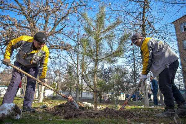 Главное фото
