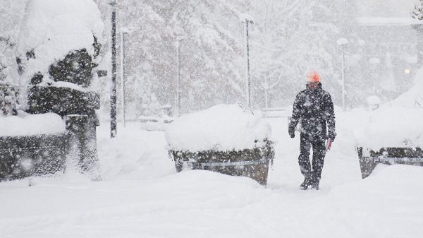 Главное фото
