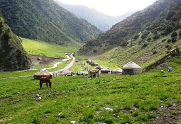 Главное фото