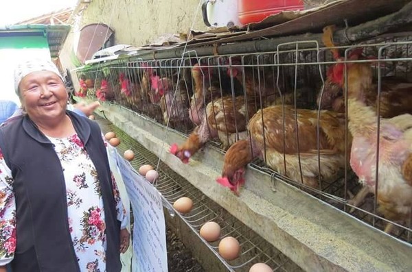 Главное фото