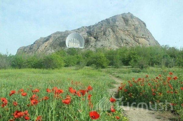 Главное фото