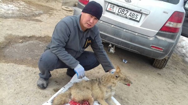 Главное фото