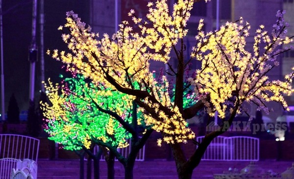 Главное фото