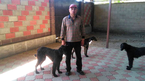 Главное фото