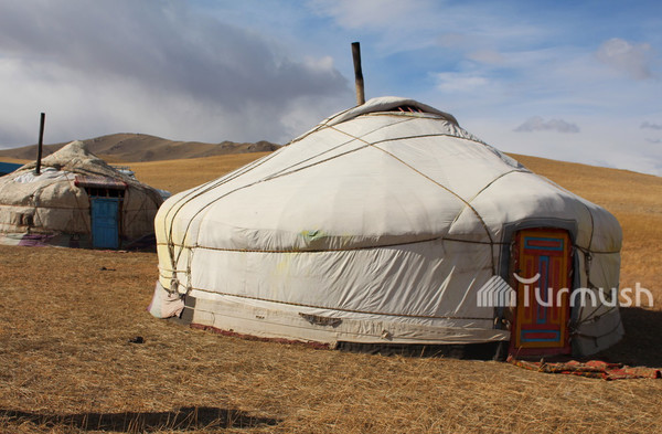 Главное фото