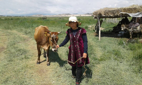 Главное фото