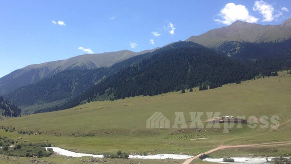 Главное фото