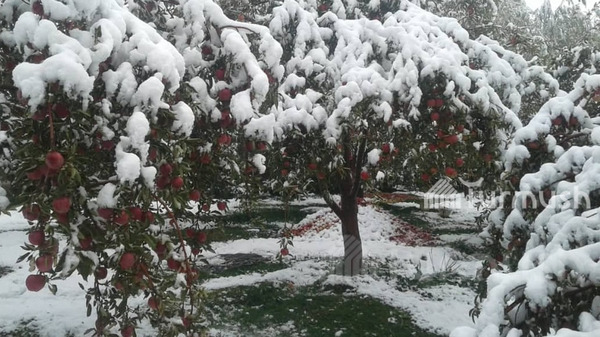 Главное фото