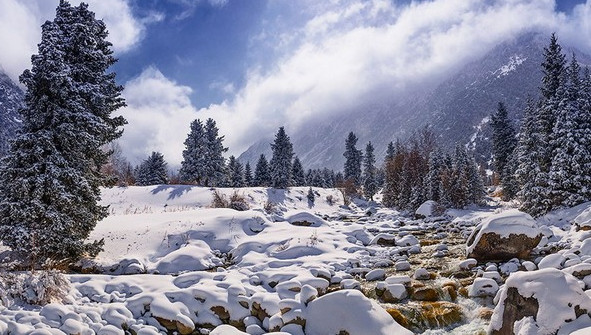 Главное фото