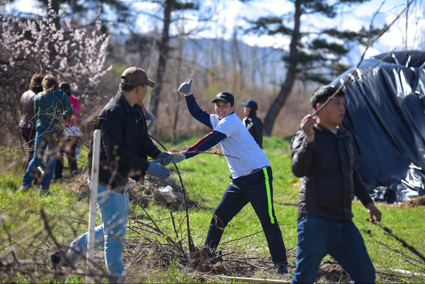 Главное фото