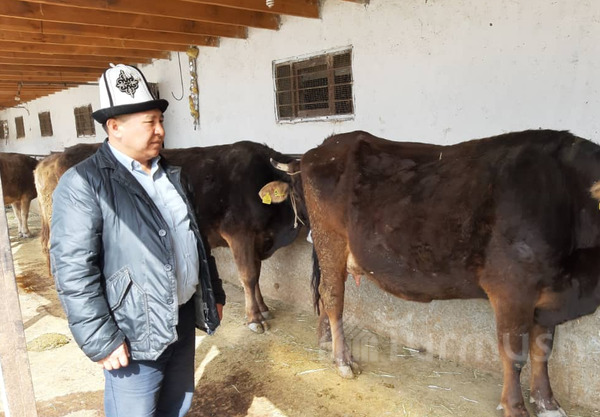 Главное фото