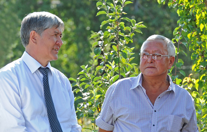 Главное фото