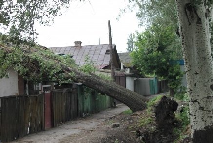 Главное фото
