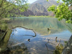 Главное фото