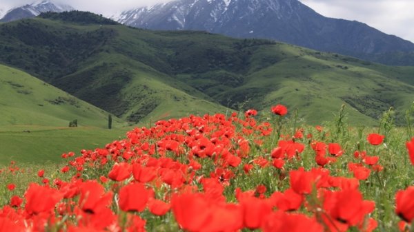 25 лет независимости в цифрах: Как изменилась экономика Кыргызстана? &mdash; Tazabek