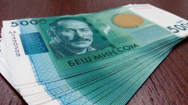 С начала 2016 года Минсельхоз потратил свыше 1 млрд сомов, 530 млн сомов из которых направлено на зарплату сотрудникам (статьи расходов) &mdash; Tazabek