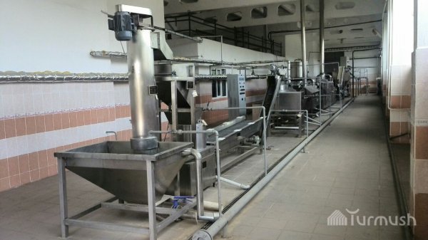 Правительство КР ждет ответа от Индии по совместному производству картофельных чипсов &mdash; Tazabek