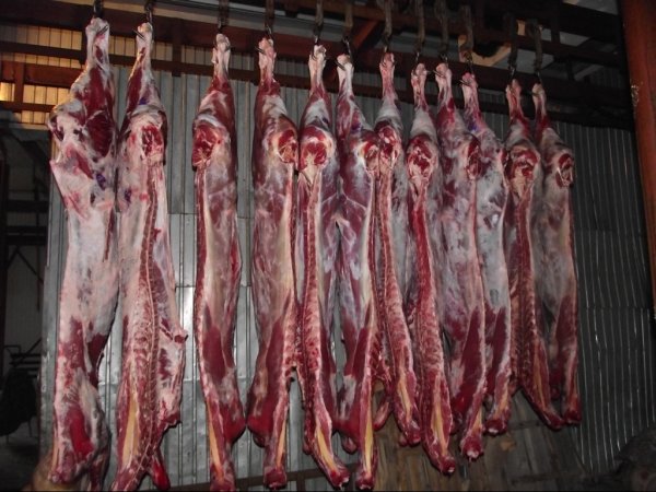 Госветсанинспекция возле Ошского рынка задержала автобус с тушами КРС &mdash; Tazabek