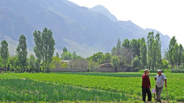 Соцфонд не разъясняет населению новые тарифы страховых взносов членам крестьянских хозяйств, - депутат И.Матраимов &mdash; Tazabek