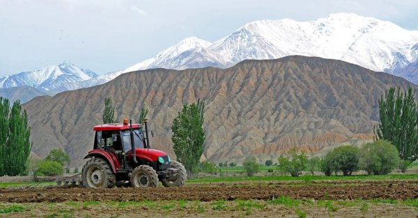 Минэкономики назвало основные риски для развития сельхозотрасли в 2017 году &mdash; Tazabek