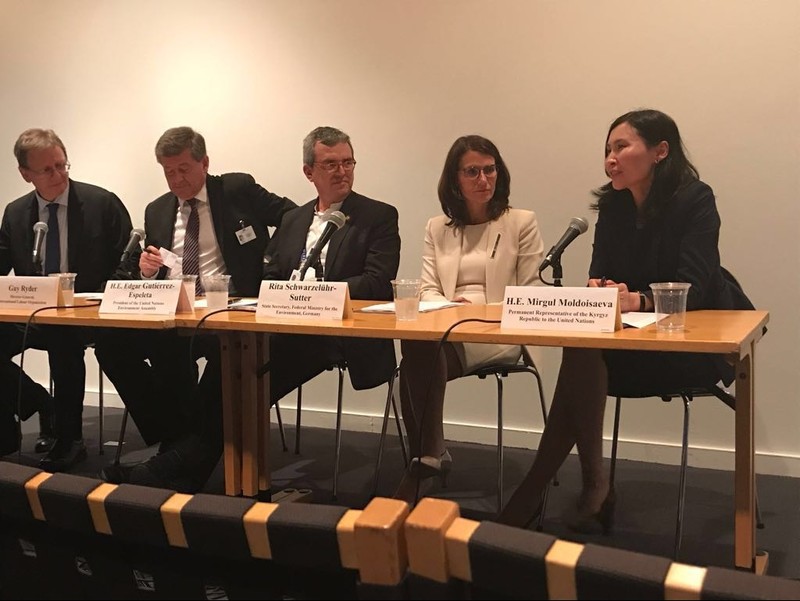 Кыргызстан вступил в инициативу PAGE для стимулирования инвестиций в &laquo;зеленые технологии&raquo;, - представительство ООН &mdash; Tazabek
