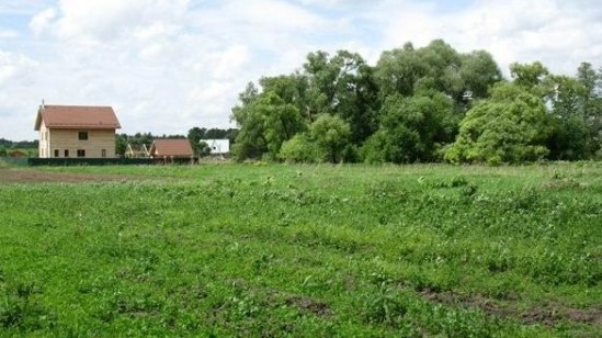 Депутаты&mdash;лендлорды:  Среди крупных землевладельцев Н.Макеев, Б.Сыдыков, И.Омуркулов, У.Жылкыбаев и К.Бокоев &mdash; Tazabek