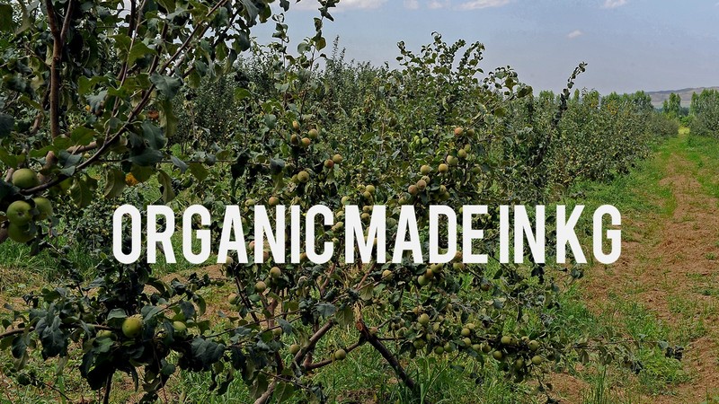 Минсельхоз предлагает ввести требования к органической сельскохозяйственной продукции &mdash; Tazabek