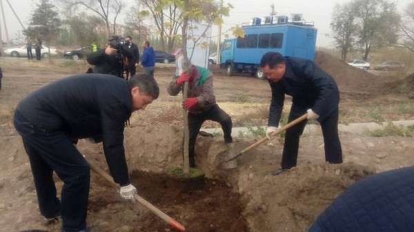 Главное фото