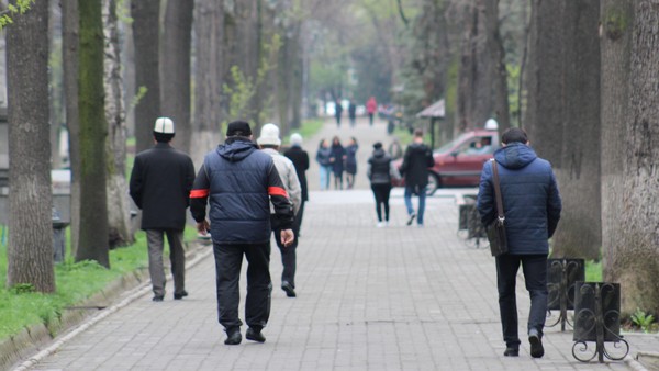 Главное фото