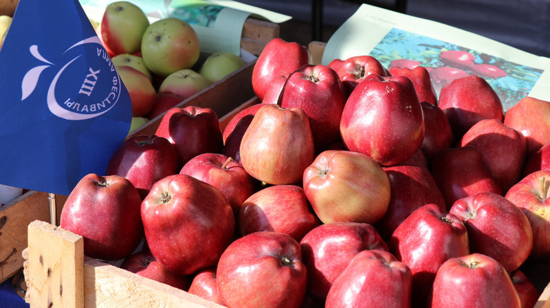 PR: В Ала-Букинском районе прошел XIII Яблочный фестиваль Банка Компаньон &mdash; Tazabek