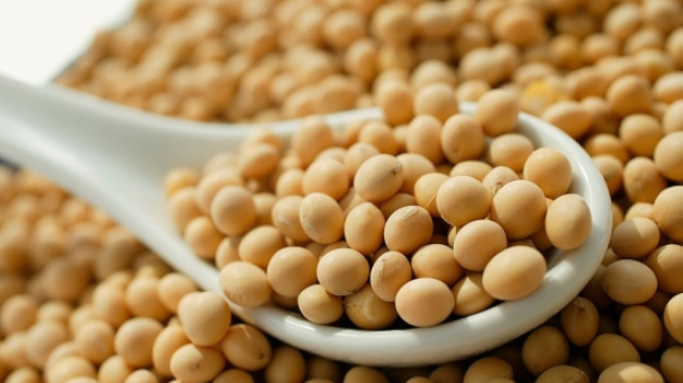 Агробизнес: Минсельхоз рекомендует. Стоит ли выращивать сою в Кыргызстане? &mdash; Tazabek