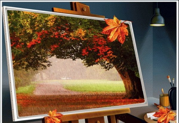 Главное фото