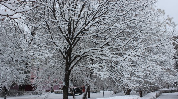 Главное фото