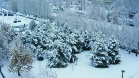 Главное фото