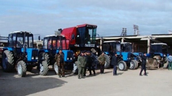 Главное фото