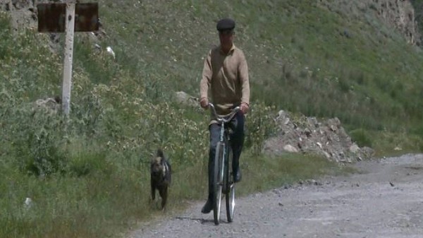 Главное фото