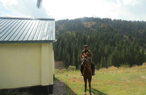 Главное фото