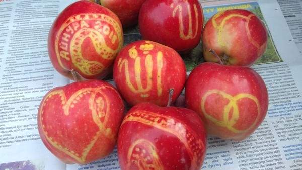 Главное фото