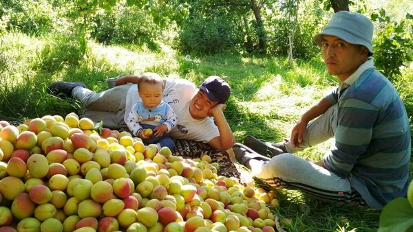 Главное фото