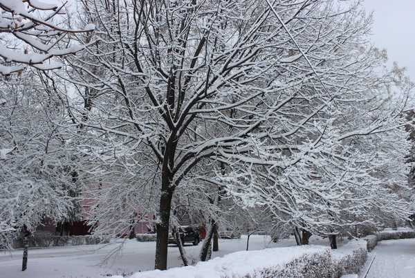 Главное фото